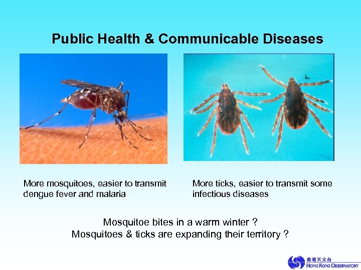 Public Health & Communicable Diseases More mosquitoes, easier to transmit dengue fever and malaria