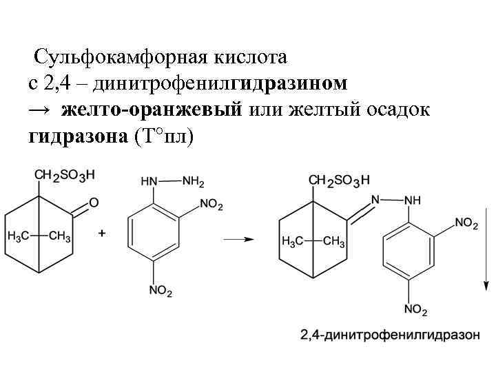 Сульфокамфорная кислота с 2, 4 – динитрофенилгидразином → желто-оранжевый или желтый осадок гидразона (Т°пл)