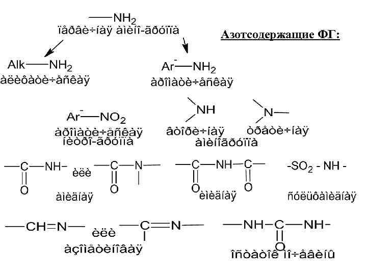 Азотсодержащие ФГ: 