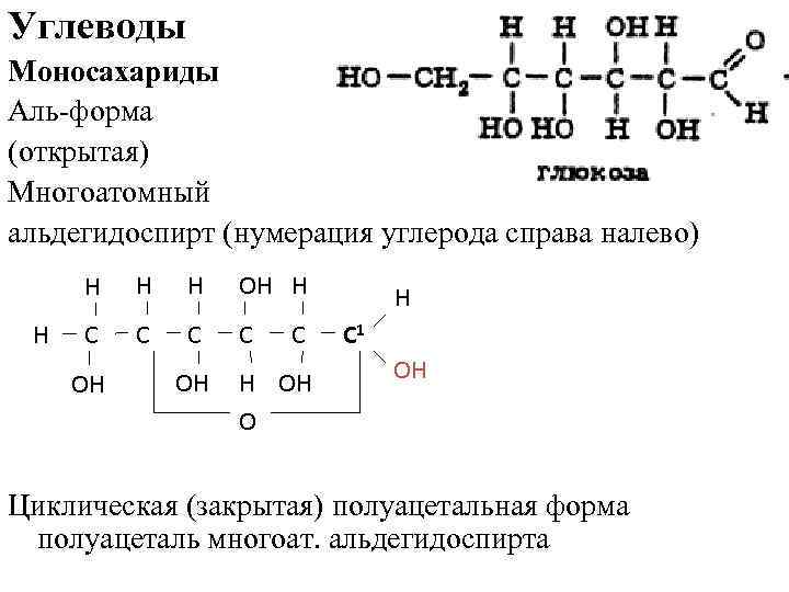 Углеводы Моносахариды Аль-форма (открытая) Многоатомный альдегидоспирт (нумерация углерода справа налево) Н Н ОН Н