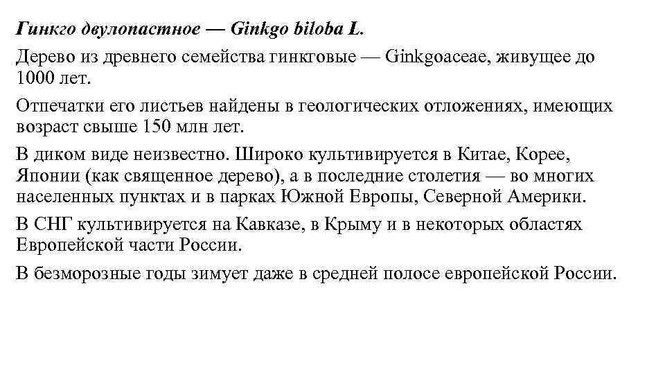 Гинкго двулопастное — Ginkgo biloba L. Дерево из древнего семейства гинкговые — Ginkgoaceae, живущее