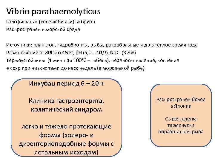 Vibrio parahaemolyticus Галофильный (солелюбивый) вибрион Распространен в морской среде Источники: планктон, гидробионты, рыбы, ракообразные