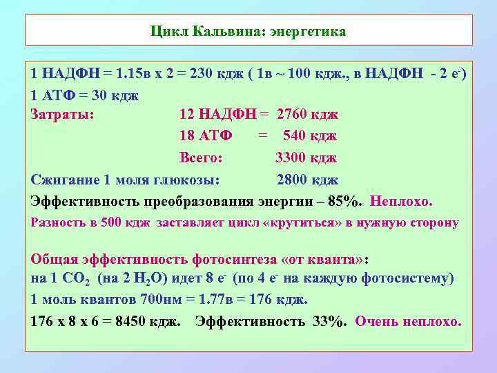 Цикл Кальвина: энергетика 1 НАДФН = 1. 15 в х 2 = 230 кдж