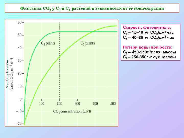 Фиксация СО 2 у С 3 и С 4 растений в зависимости от ее