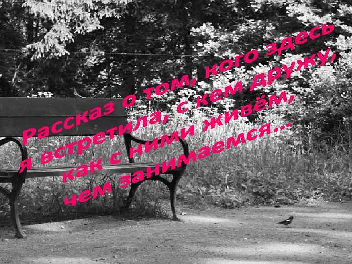 09. 02. 2018 Chubrik_Z 14_V 11_Gr 2_MPF 2 