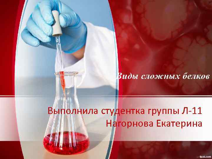 Виды сложных белков Выполнила студентка группы Л-11 Нагорнова Екатерина 
