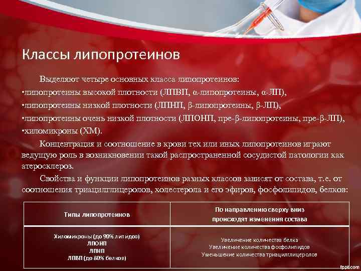 Классы липопротеинов Выделяют четыре основных класса липопротеинов: • липопротеины высокой плотности (ЛПВП, α-липопротеины, α-ЛП),