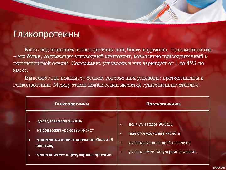Гликопротеины Класс под названием гликопротеины или, более корректно, гликоконъюгаты – это белки, содержащие углеводный
