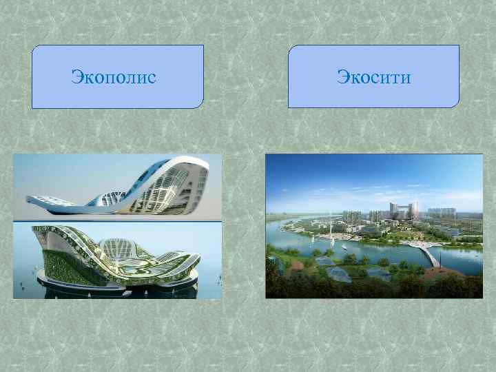 Экополис Экосити 