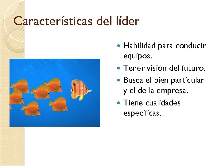 Características del líder Habilidad para conducir equipos. Tener visión del futuro. Busca el bien