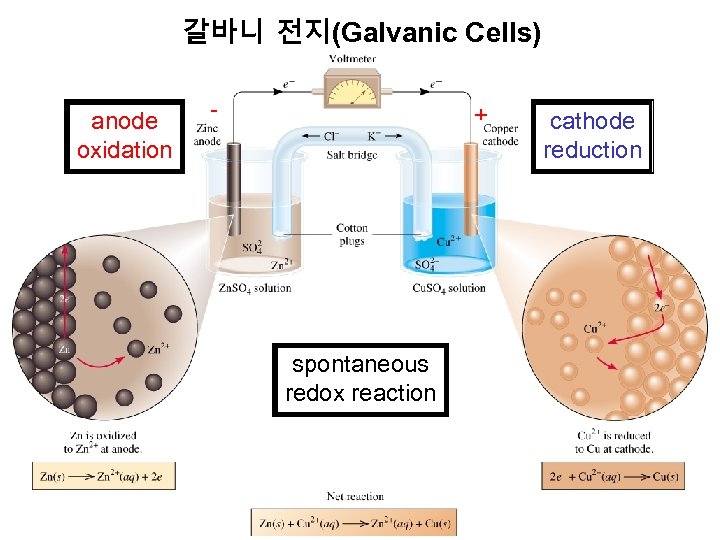 갈바니 전지(Galvanic Cells) anode oxidation - + spontaneous redox reaction cathode reduction 