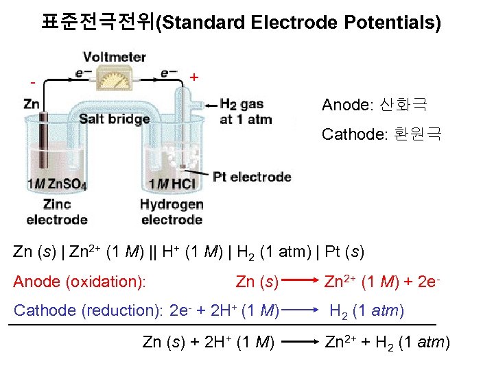 표준전극전위(Standard Electrode Potentials) + - Anode: 산화극 Cathode: 환원극 Zn (s) | Zn 2+