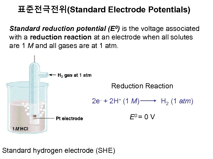 표준전극전위(Standard Electrode Potentials) Standard reduction potential (E 0) is the voltage associated with a