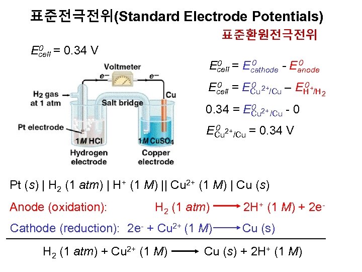 표준전극전위(Standard Electrode Potentials) 표준환원전극전위 0 = 0. 34 V Ecell 0 0 = E