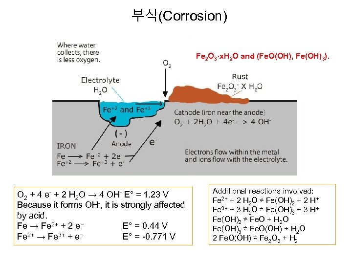 부식(Corrosion) Fe 2 O 3·x. H 2 O and (Fe. O(OH), Fe(OH)3). O 2