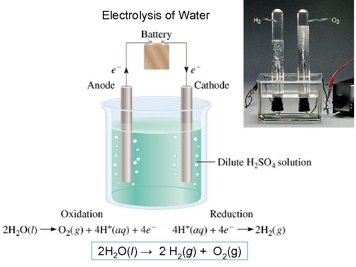 Electrolysis of Water 2 H 2 O(l) → 2 H 2(g) + O 2(g)