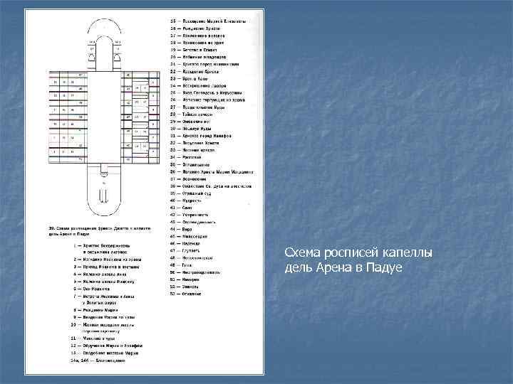 Схема росписей капеллы дель Арена в Падуе 