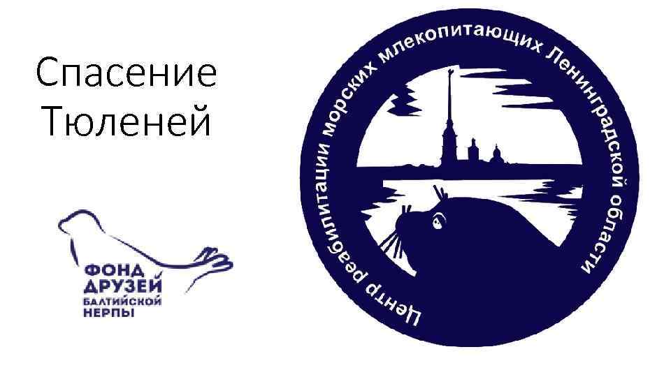 Спасение Тюленей 