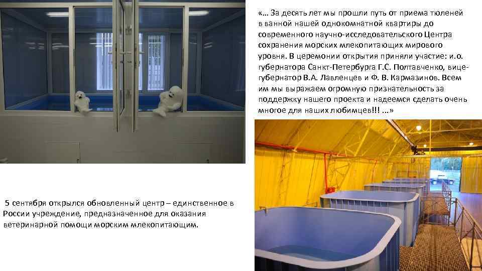  «… За десять лет мы прошли путь от приема тюленей в ванной нашей