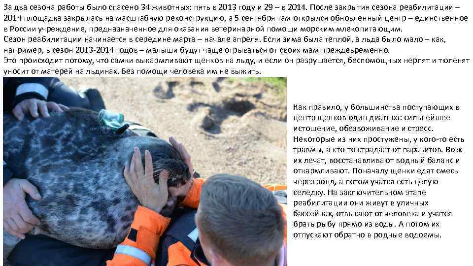 За два сезона работы было спасено 34 животных: пять в 2013 году и 29