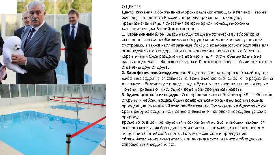 О ЦЕНТРЕ Центр изучения и сохранения морских млекопитающих в Репино – это не имеющая