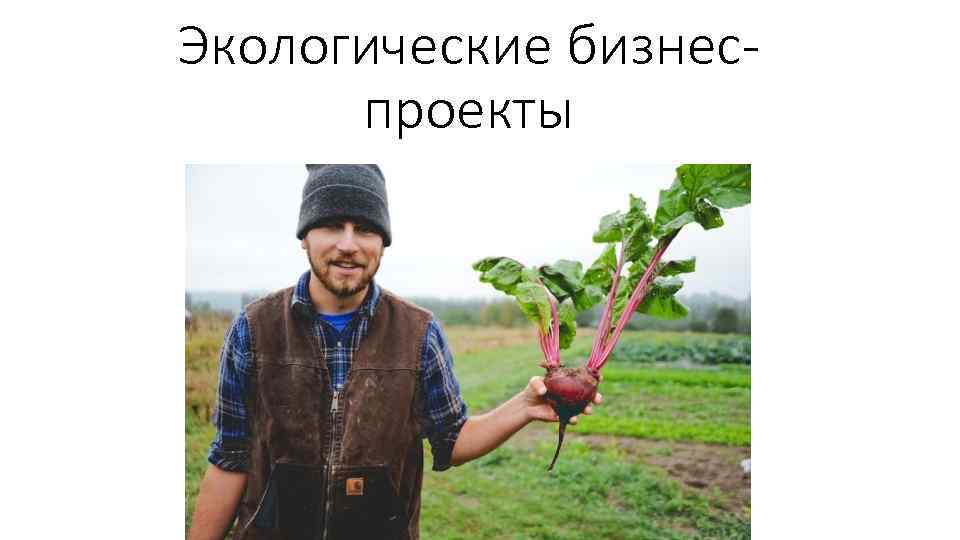 Экологические бизнеспроекты 