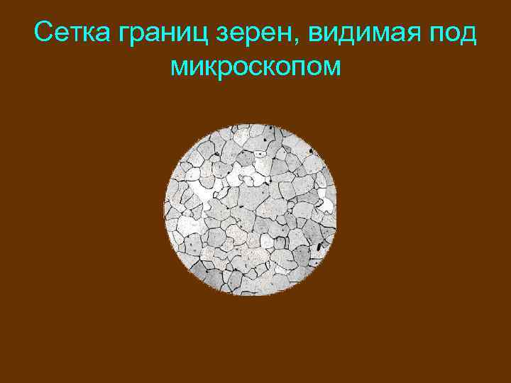 Сетка границ зерен, видимая под микроскопом 