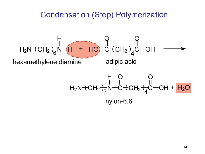 Condensation (Step) Polymerization 14 