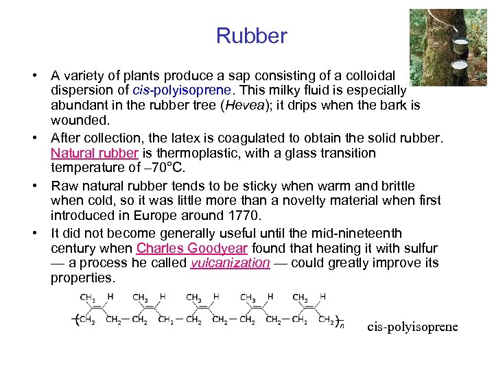 Rubber • A variety of plants produce a sap consisting of a colloidal dispersion