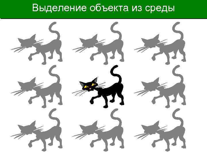 Выделение объекта из среды 