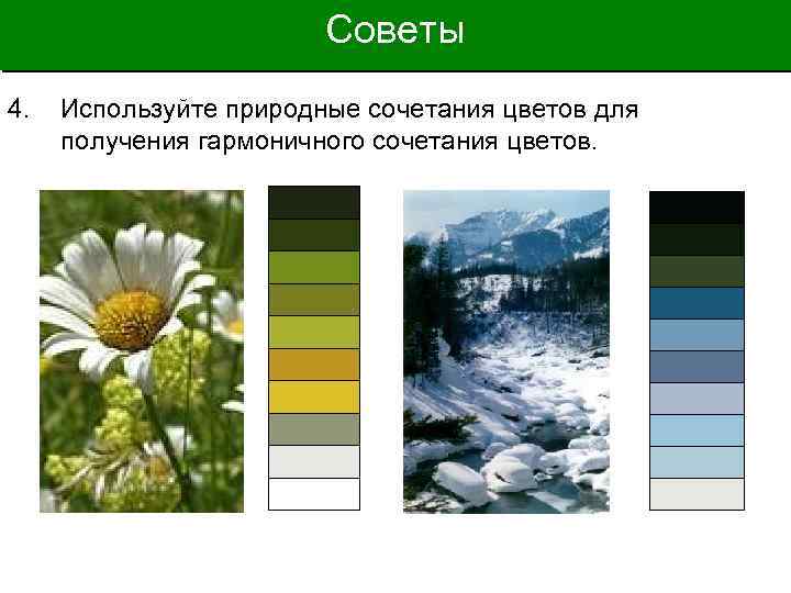 Советы 4. Используйте природные сочетания цветов для получения гармоничного сочетания цветов. 