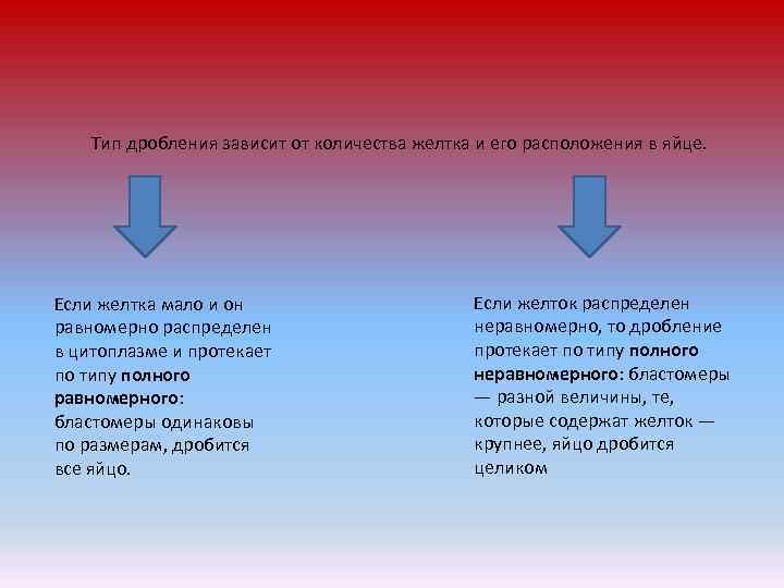 Тип дробления зависит от количества желтка и его расположения в яйце. Если желтка мало