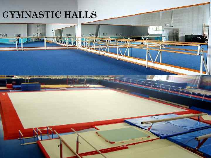 GYMNASTIC HALLS 