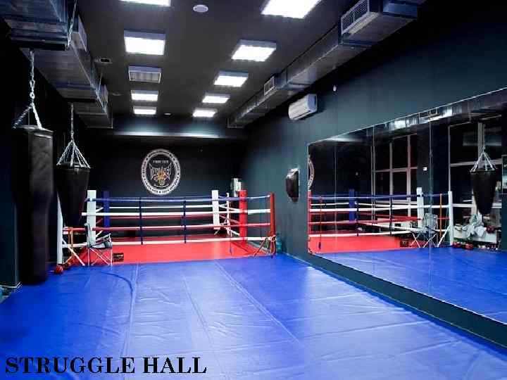 STRUGGLE HALL 