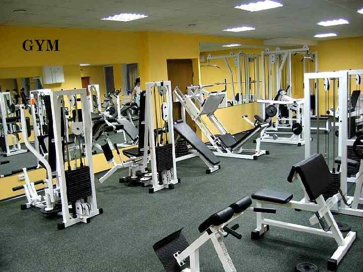 GYM 