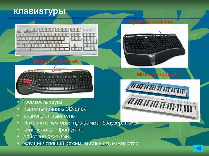 клавиатуры Эргономическая Мультимедийная MIDI-клавиатуры • • громкость звука извлечь/принять CD-диск; аудиопроигрыватель Интернет: почтовая программа,