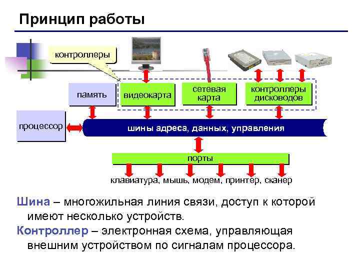 Принцип работы контроллеры память процессор видеокарта сетевая карта контроллеры дисководов шины адреса, данных, управления