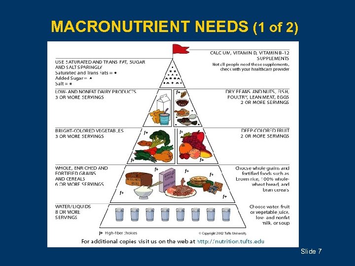 Nutrition Malnutrition And Feeding Issues Objectives Know