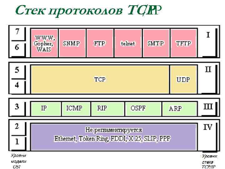 Стек протоколов TCP /IP 