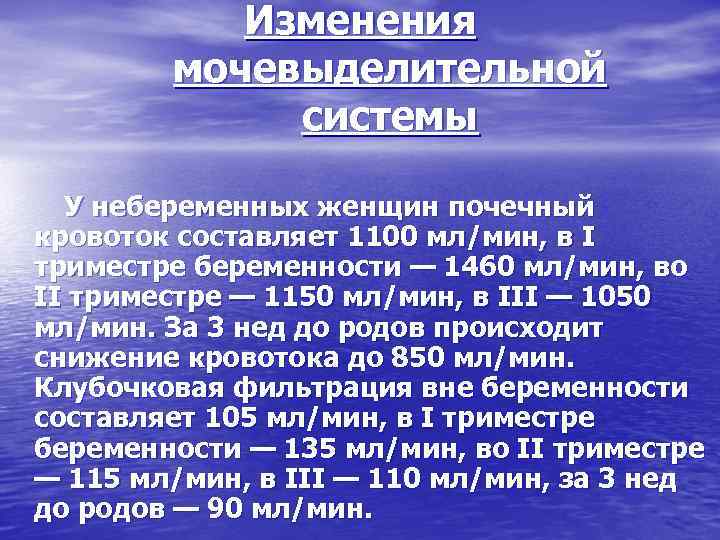 Изменения мочевыделительной системы У небеременных женщин почечный кровоток составляет 1100 мл/мин, в I триместре