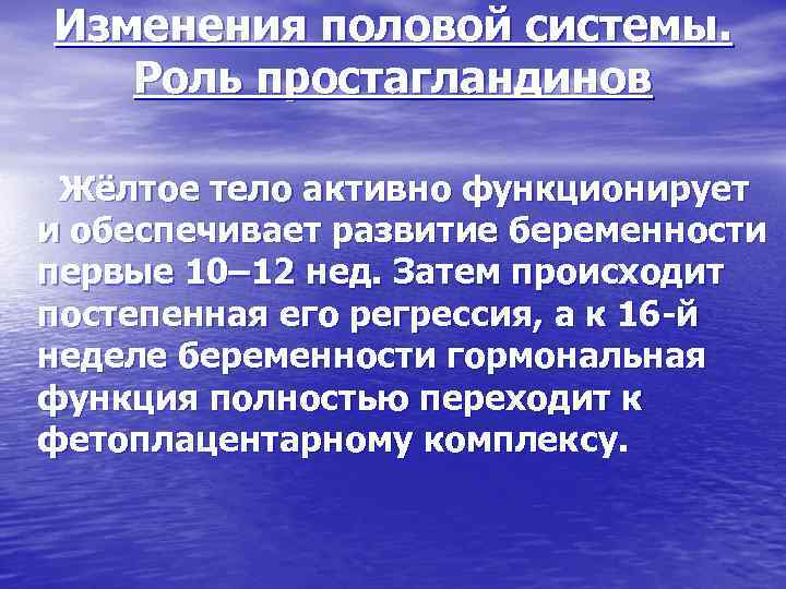 Изменения половой системы. Роль простагландинов Жёлтое тело активно функционирует и обеспечивает развитие беременности первые