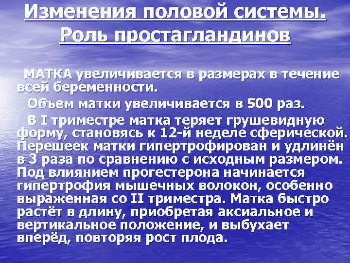 Изменения половой системы. Роль простагландинов МАТКА увеличивается в размерах в течение всей беременности. Объем