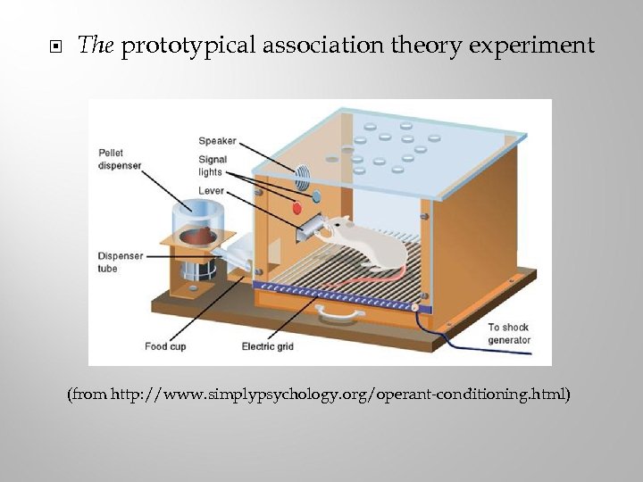  The prototypical association theory experiment (from http: //www. simplypsychology. org/operant-conditioning. html) 