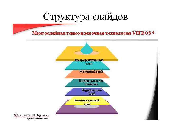 Структура слайдов 