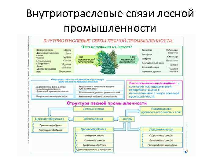 Внутриотраслевые связи лесной промышленности 