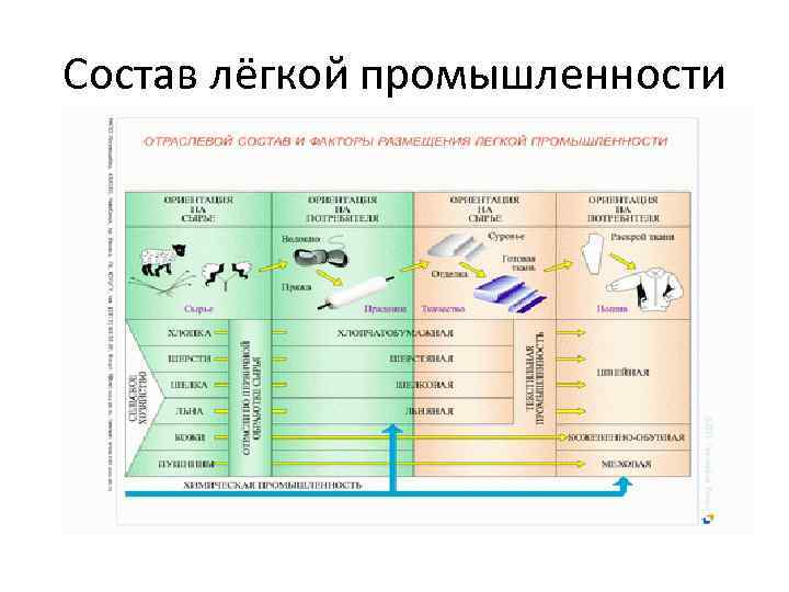 Состав лёгкой промышленности 