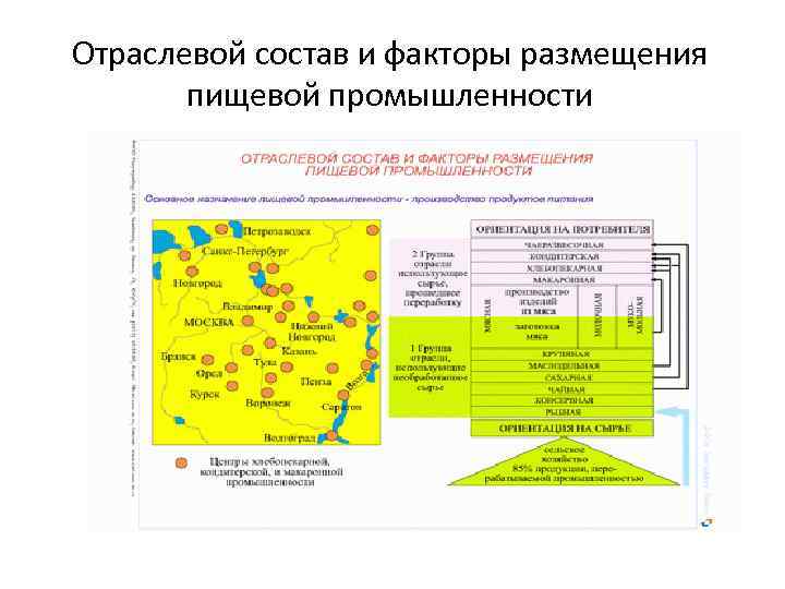 Отраслевой состав и факторы размещения пищевой промышленности 