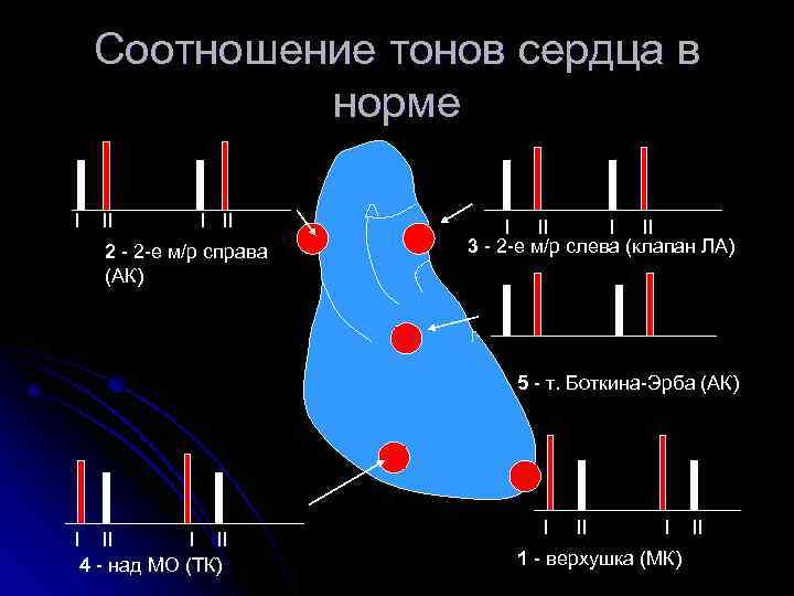 Соотношение тонов сердца в норме I II 2 - 2 -е м/р справа (АК)