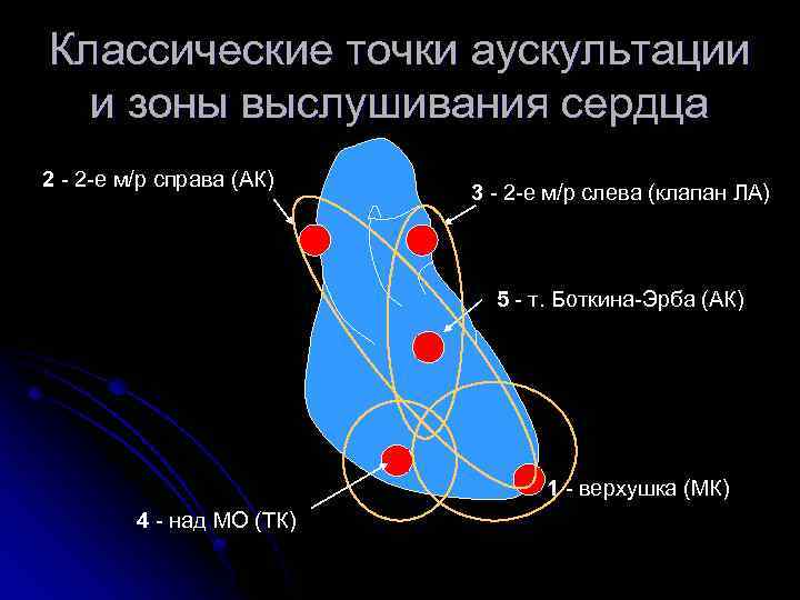 Классические точки аускультации и зоны выслушивания сердца 2 - 2 -е м/р справа (АК)