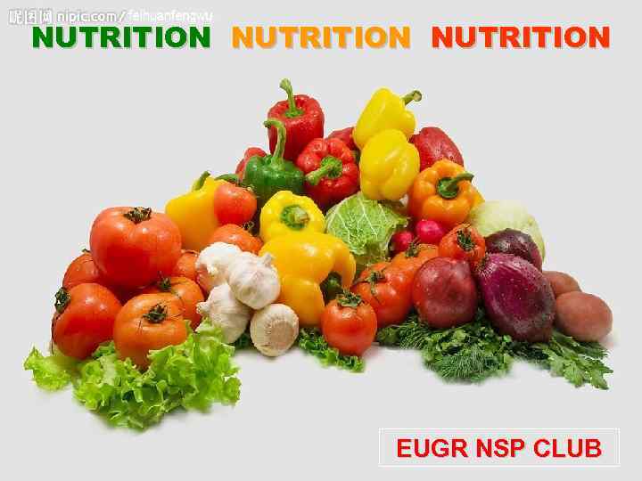 NUTRITION EUGR NSP CLUB 